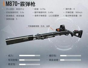 四把升级枪爆料视频  第1张